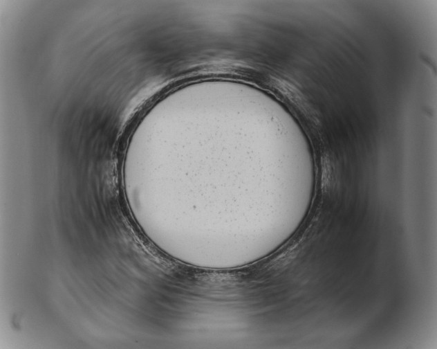 X0000102341164200808221624