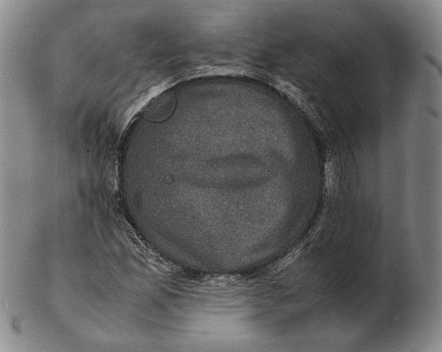 X0000102341165200808221624