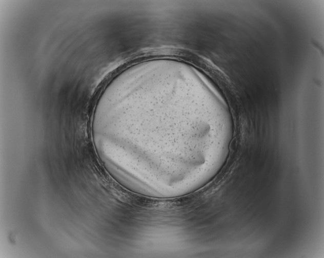 X0000102341166200808221624