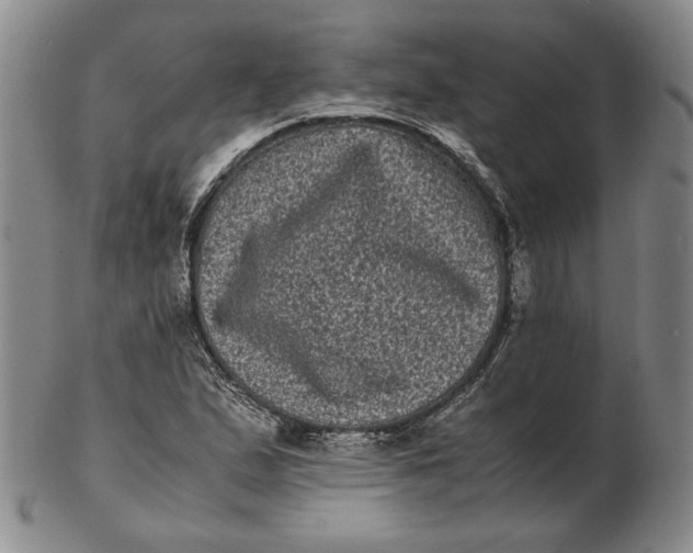 X0000102341167200808221624