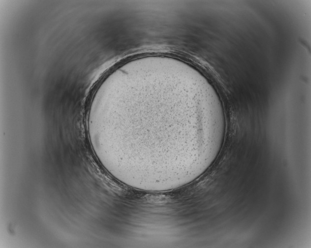 X0000102341168200808221624