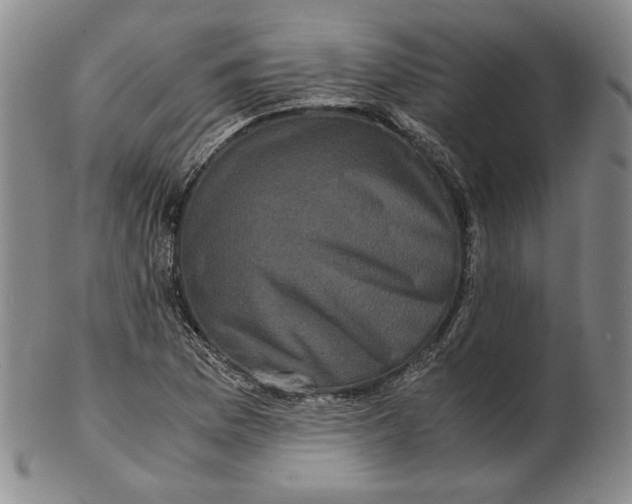 X0000102341169200808221624