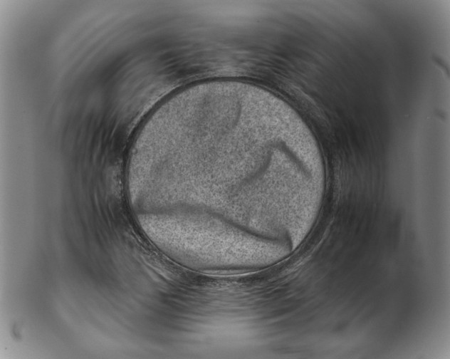 X0000102341170200808221624