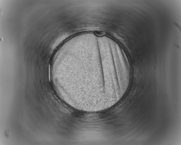 X0000102341171200808221624