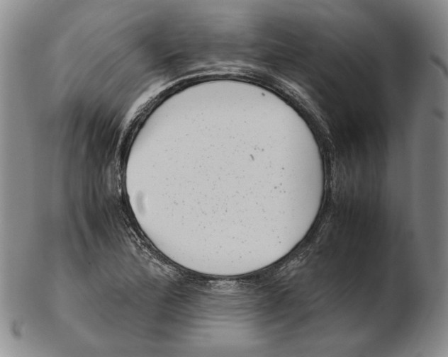 X0000102341172200808221624