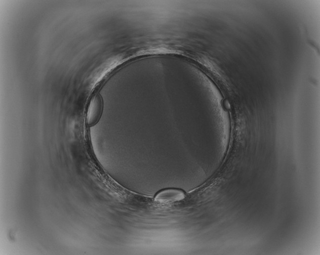 X0000102341173200808221624