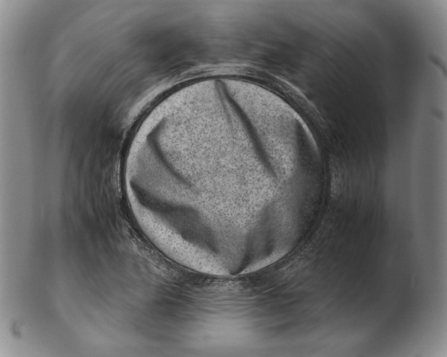 X0000102341174200808221624