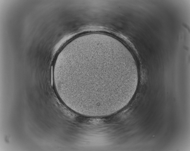 X0000102341175200808221624