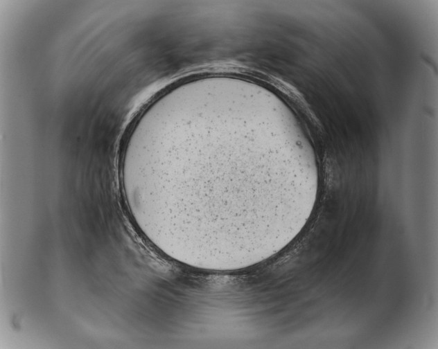 X0000102341176200808221624