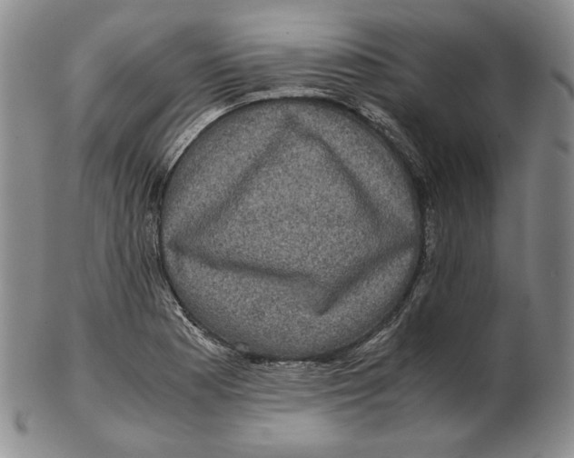 X0000102341177200808221624