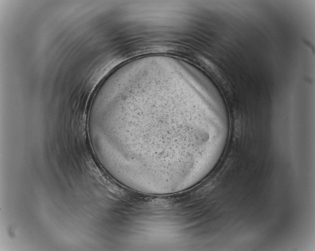 X0000102341178200808221624