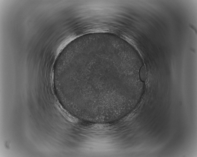 X0000102341179200808221624