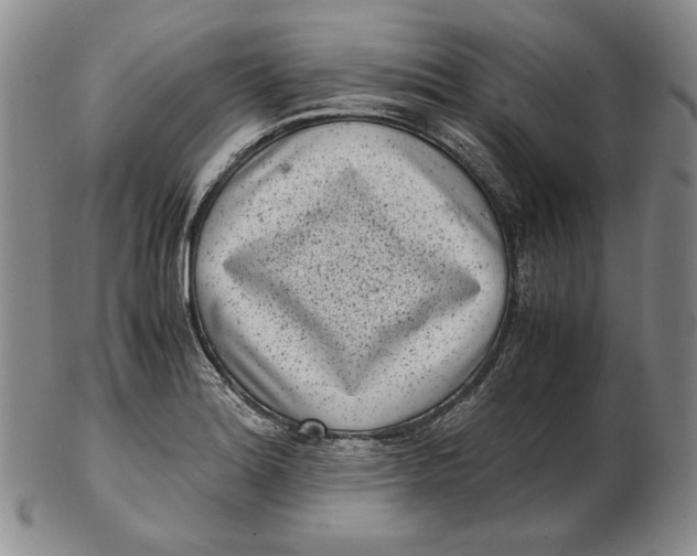 X0000102341180200808221624