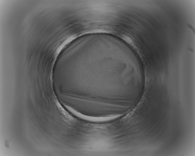 X0000102341181200808221624