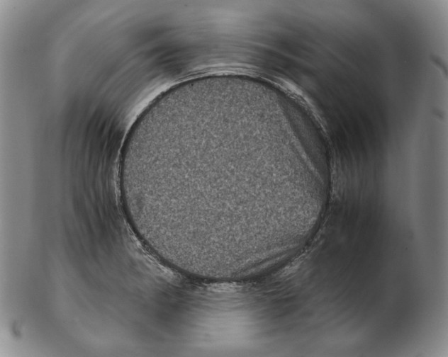 X0000102341182200808221624