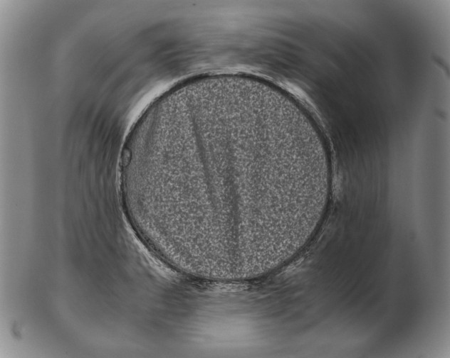 X0000102341183200808221624