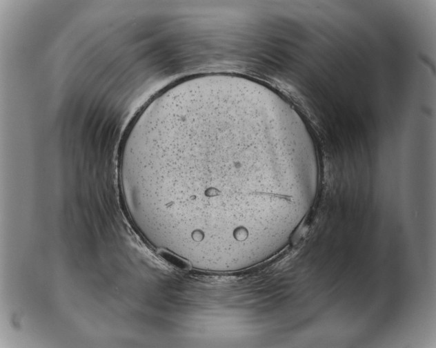 X0000102341184200808221624