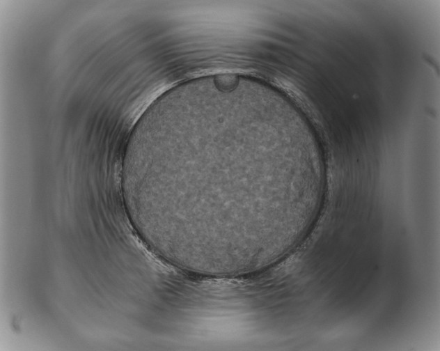 X0000102341185200808221624