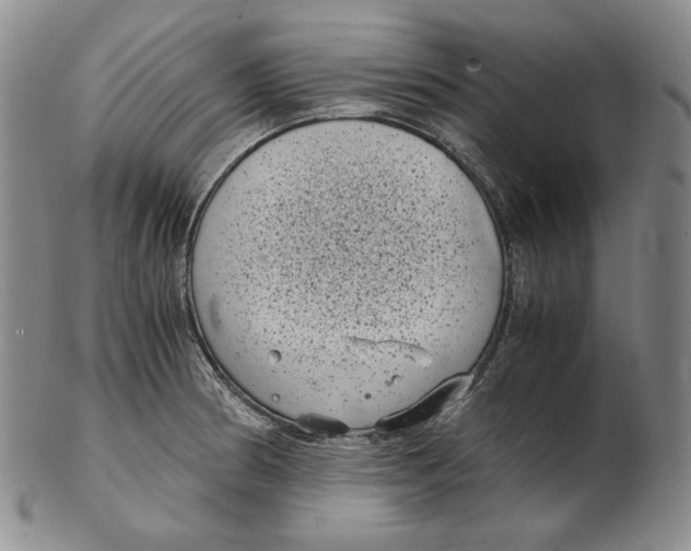 X0000102341186200808221624