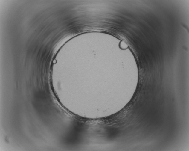 X0000102341187200808221624