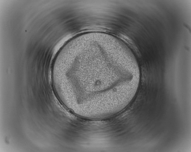 X0000102341188200808221624