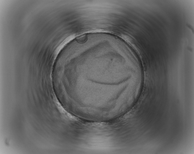 X0000102341189200808221624