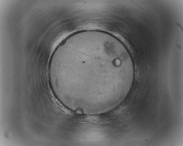 X0000102341191200808221624