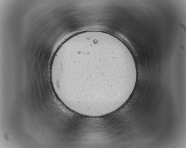 X0000102341192200808221624