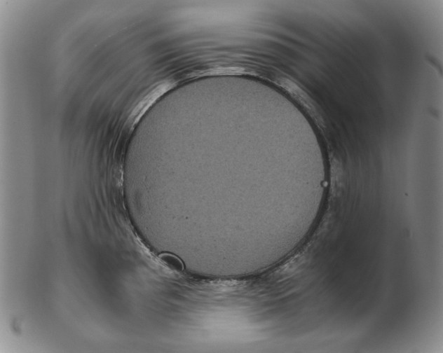 X0000102341193200808221624