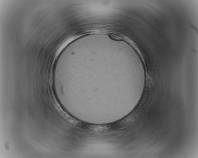 X0000102341195200808221624