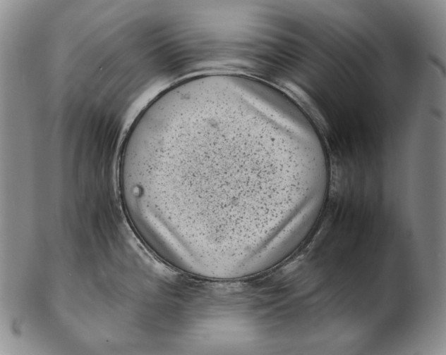 X0000102341196200808221624