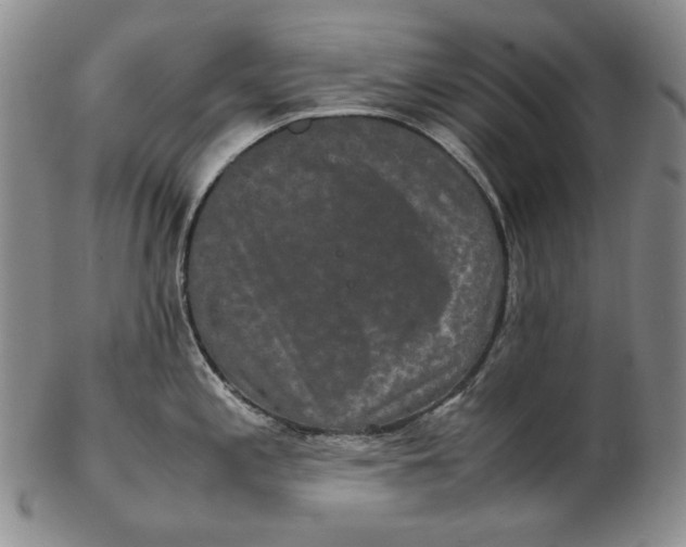 X0000102341197200808221624