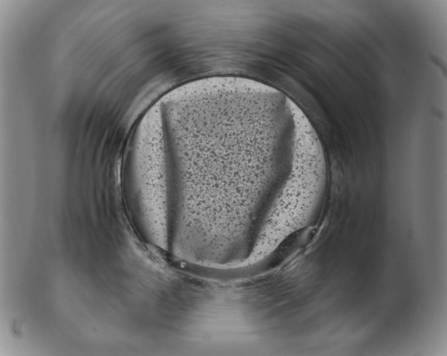 X0000102341198200808221624