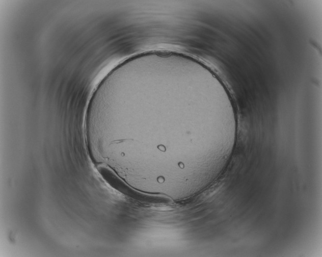 X0000102341199200808221624