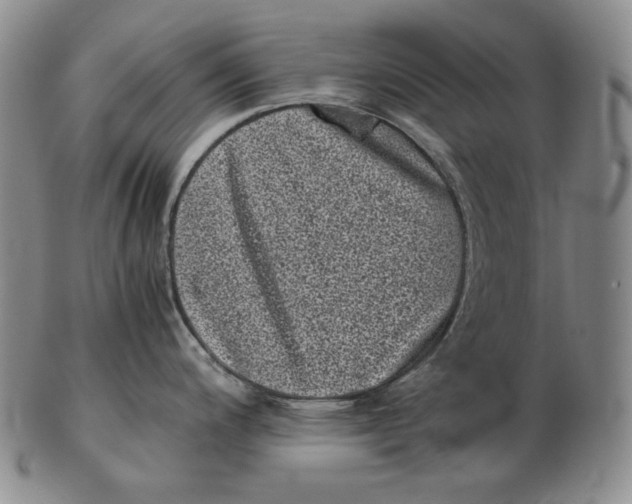 X0000102341200200808221624