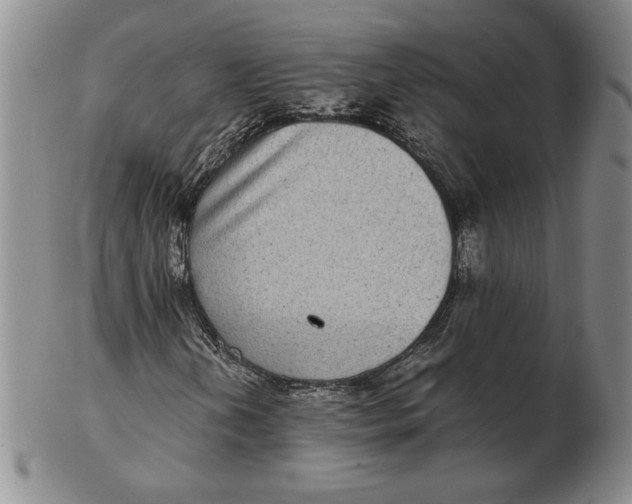 X0000102341202200808221623