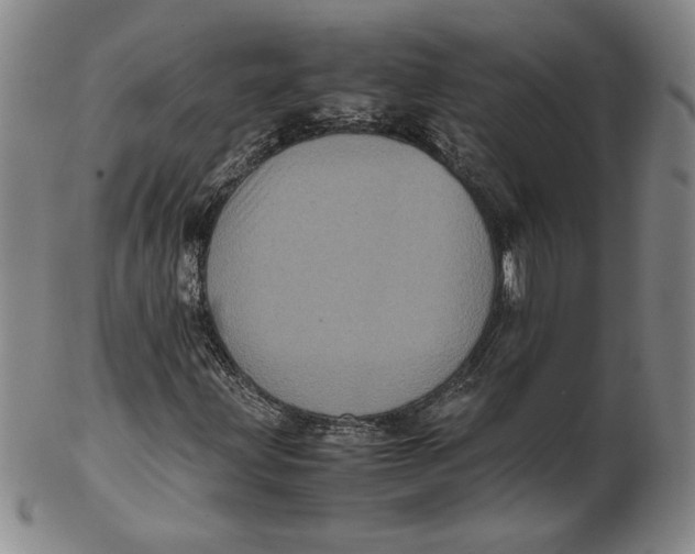 X0000102341203200808221623