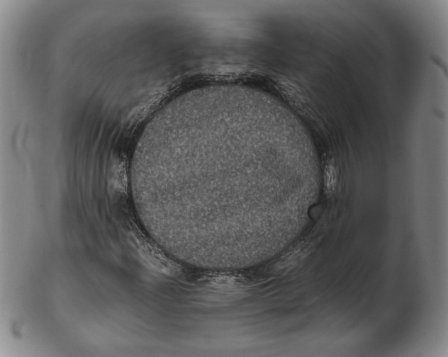 X0000102341204200808221623