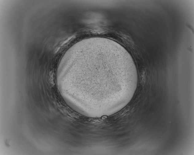 X0000102341205200808221623