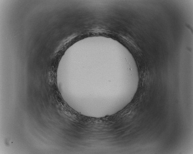 X0000102341207200808221623