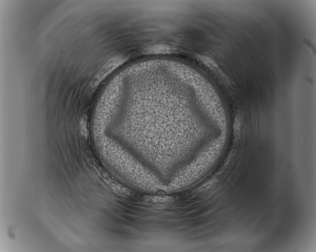 X0000102341209200808221623