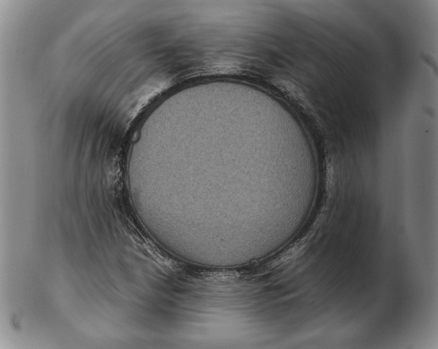 X0000102341210200808221623