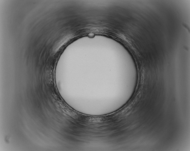 X0000102341211200808221623