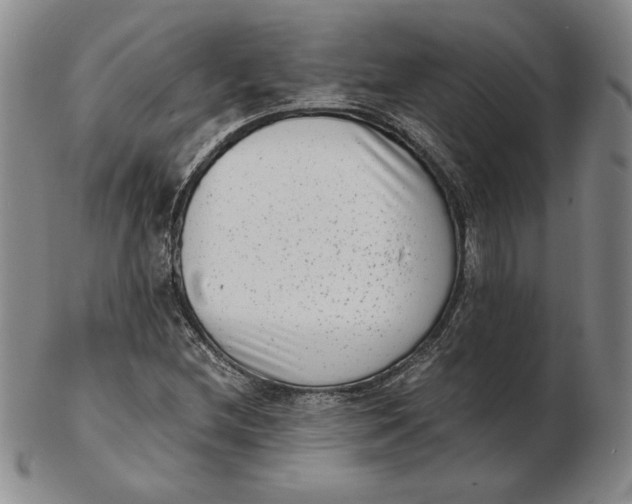 X0000102341212200808221623