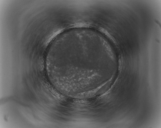 X0000102341213200808221623