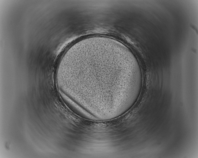 X0000102341214200808221623