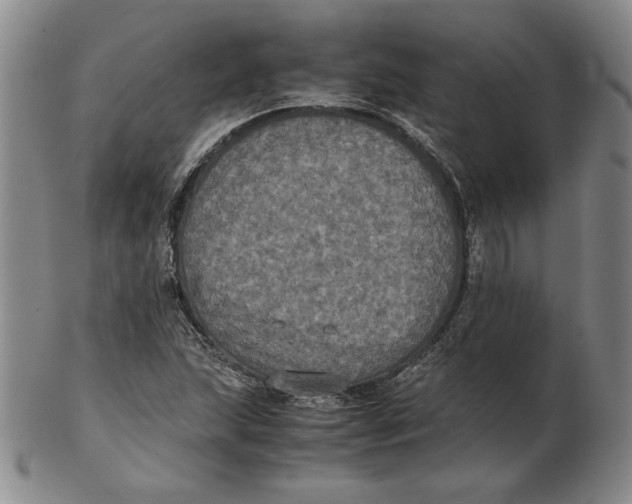 X0000102341215200808221623