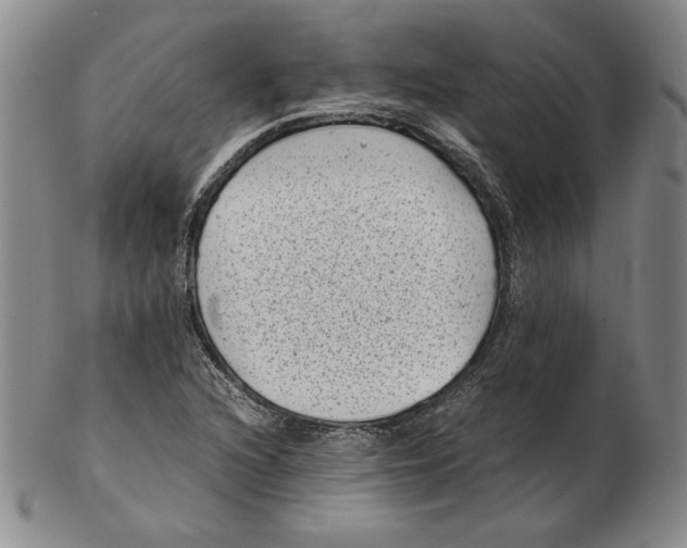 X0000102341216200808221623