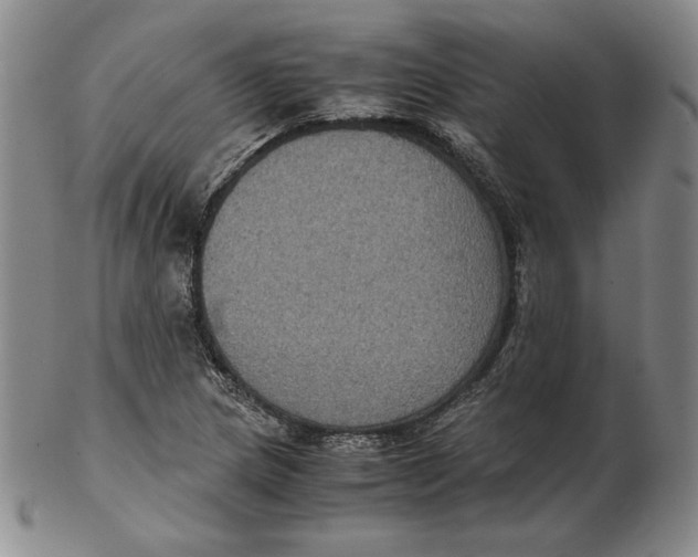 X0000102341217200808221623