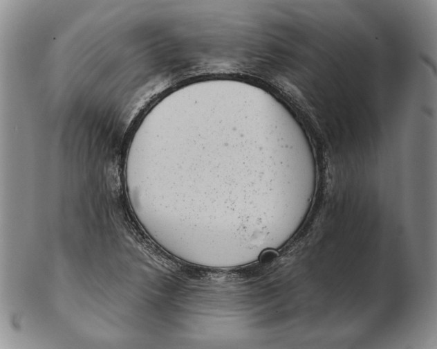 X0000102341218200808221623